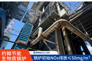 生物质锅炉