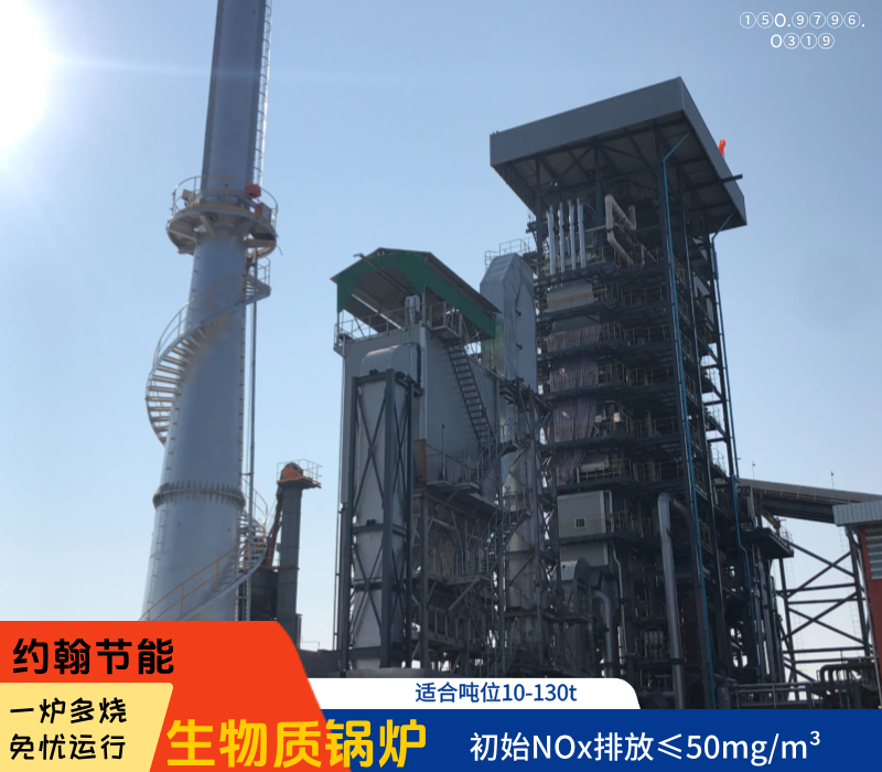 生物质锅炉 生物质锅炉