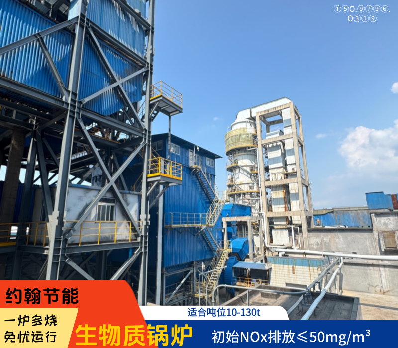 生物质锅炉 生物质锅炉