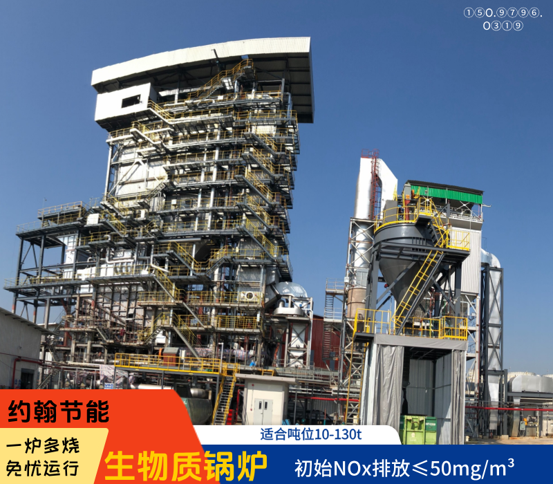生物质锅炉 生物质锅炉