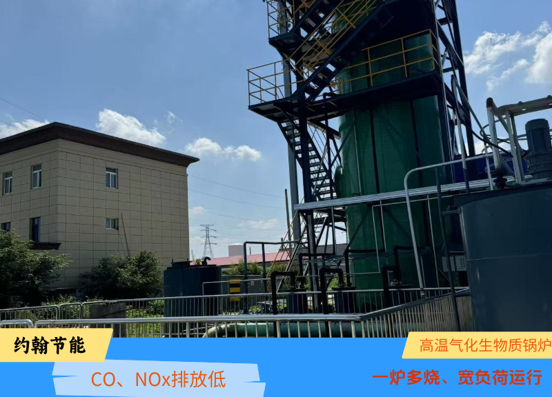 生物质锅炉 生物质锅炉