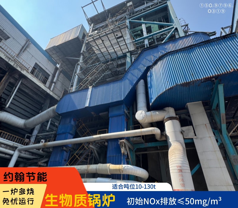 生物质锅炉 生物质锅炉